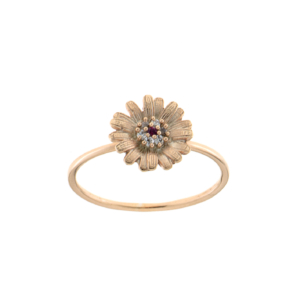 Ring RI-S-000487P